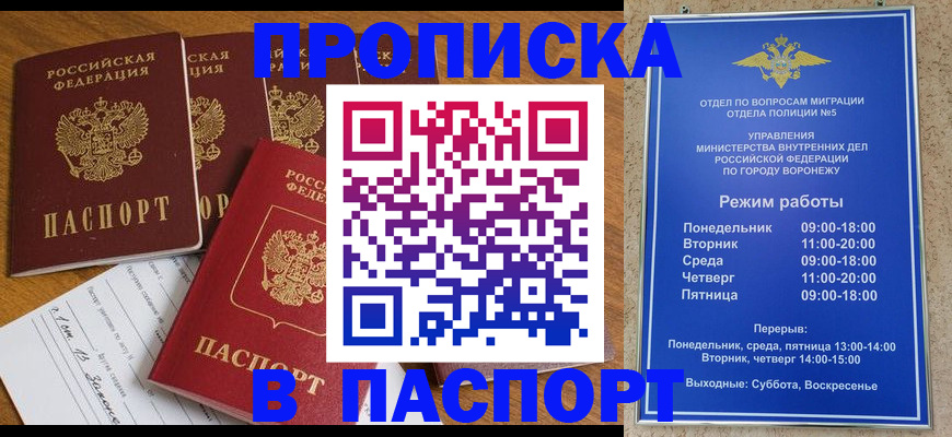 пропишу в квартире в Владимире
